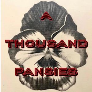 Already Home (feat. Dillbilly, Vicki Randle, Katie Cash, Nino Moschella & Julie Wolf)