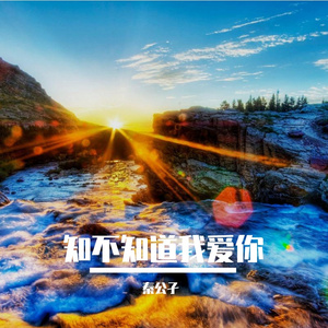 知不知道我爱你