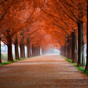 落日下的邂逅（西餐厅钢琴曲）