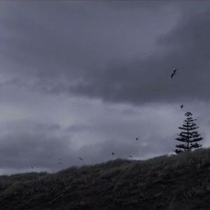 我的姑娘 她在远方