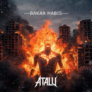 Bakar Habis