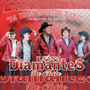 Quisiste regresar