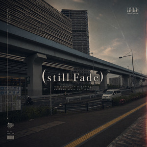 Still Fade