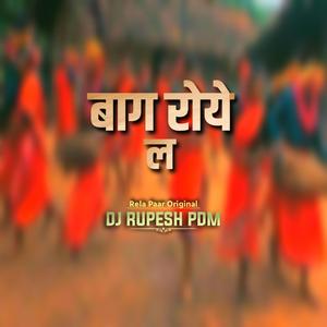 Baag Roye La (Rela Paar)