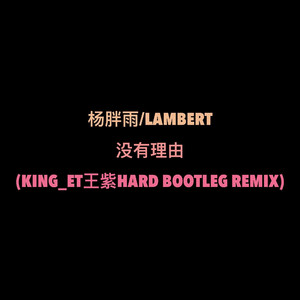 杨胖雨-没有理由 （King_et 王紫 Hard Bootleg Remix）（King_et王紫 remix）
