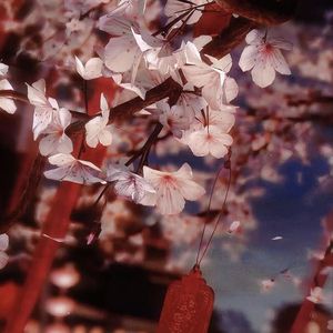 "勾栏听曲" 揽佬 x 孟菲斯 Type Beat