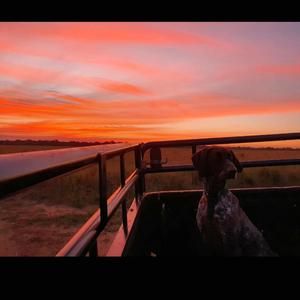 Long Walk To Freedom