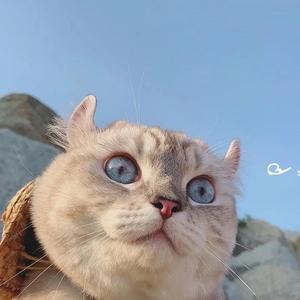 IMG_20220403_1348280