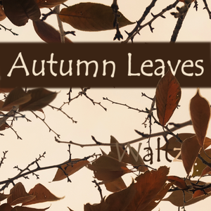 Autumn Leaves Waltz（no drum set ver.）