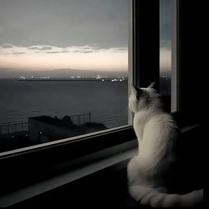 代价情感