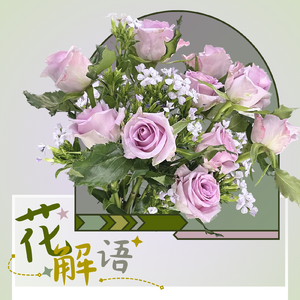 花解语·风知道 伴奏