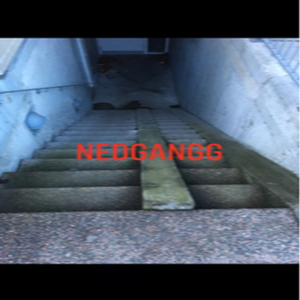 Mænd er nogle svin