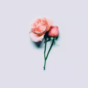 [FREE]“初见”Guitar trap beat