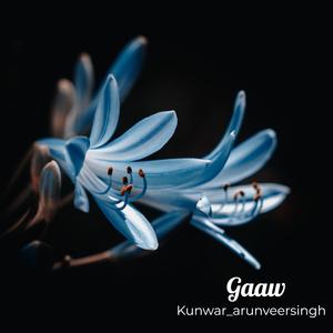 Gaaw