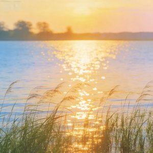 “为什么要想起你”