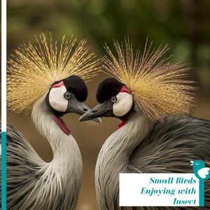 Downpour and Thunder