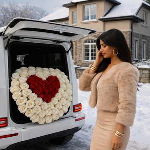 Циганка чорная_(Barsik)