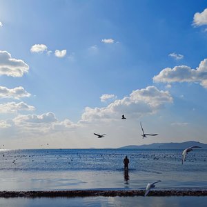 便利店.wav
