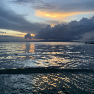 嘴硬的人不会说晚安