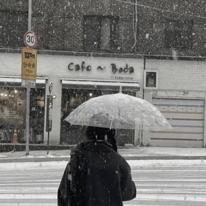 我像风一样作陪