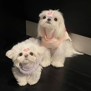 唯一(女翻