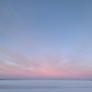 puriosity