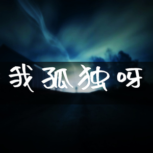 我孤独呀