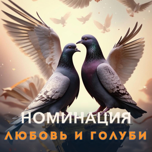 Любовь и голуби