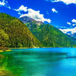 瓷盘中的蓝莓渍