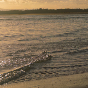 左边（cover：小渔）