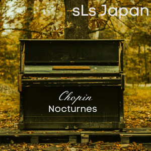 Nocturne No. 11 In G Minor, Op.37 No.1