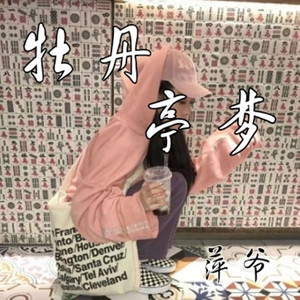 要的就是这种感觉 (Remix)