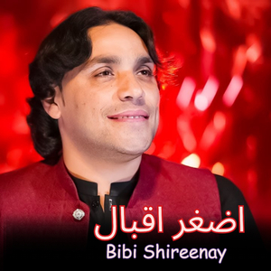 Bibi Shireenay