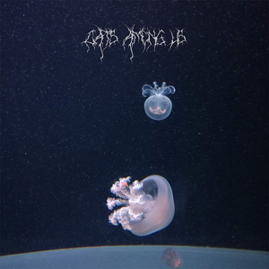 Никуда не пойду