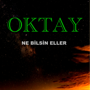 Ne Bilsin Eller