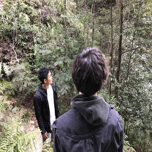 運命のルーレット