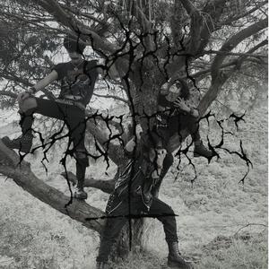 Sacrifice (remastered)