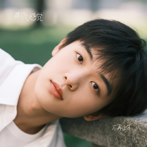 不再少年