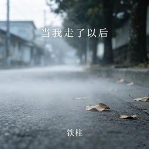 当我走了以后