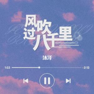 风吹过八千里（DJ沐泽版）