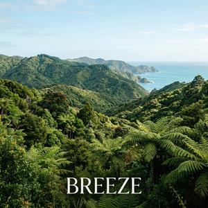 Breeze