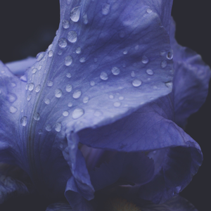 梅雨天 (Acoustic)