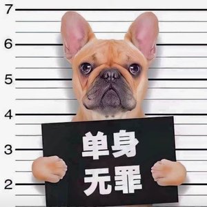 Export_5b0e1d5a-9b65-4b4b-9c73-e3b90388b7d5