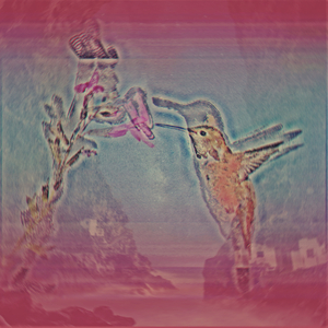 A Rosa e o Beija-Flor