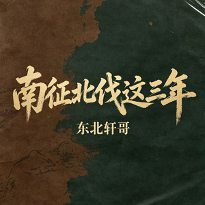 南征北伐这三年