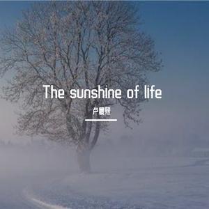 The sunshine of life