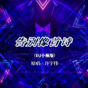告别像首诗 (DJ小桐版伴奏)