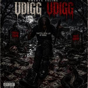 Udigg