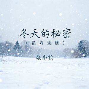 冬天的秘密（蒸汽波版）