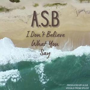 I Don't Believe What You Say